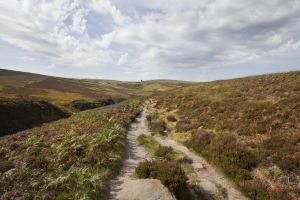 haworth moor september route to top withens 2012 sm.jpg